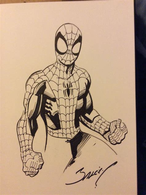 Spider Man Drawn For Me By Acclaimed Spidey Artist Mark Bagley His