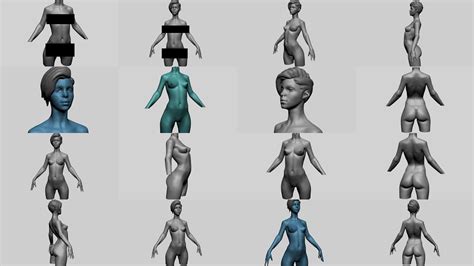 Female Anatomy Models A 3d Model Collection Cgtrader
