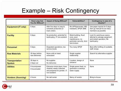 Project Risk Mitigation Plan Template