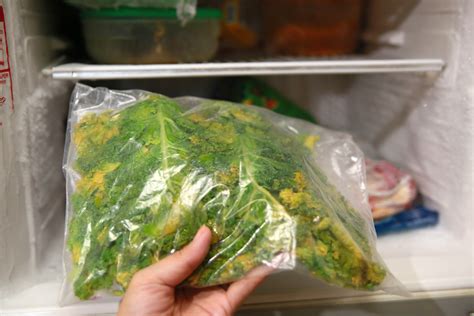 See how to create an asymmetric key, save it in a key container, and retrieve and delete the key. How to Store Kale: 12 Steps (with Pictures) - wikiHow
