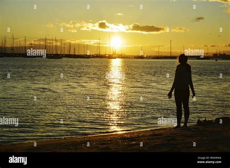 Rear View Of Silhouette Woman Standing At St Kilda Beach During Sunset