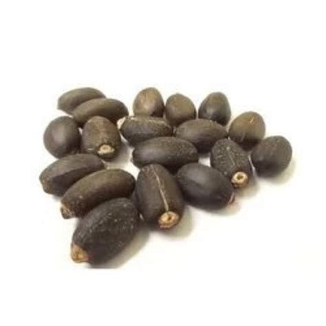 Piñon De Botija 4 Seeds Jatropha Curcas Physic Nut Santeria Hoodoo Etsy