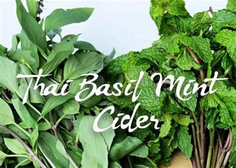 Thai Mint Basil Tractor Brewing Company