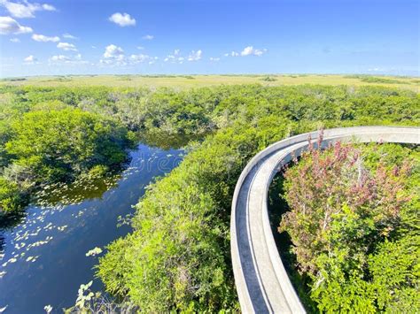 Shark Valley Observation Tower Everglades National Park Florida Usa