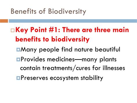 PPT Biodiversity And Ecosystem Stability PowerPoint Presentation
