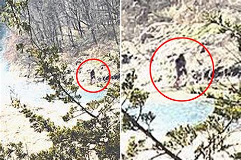 Bigfoot Sighting Revealed In Shock Pics That Show Ape Like Figure