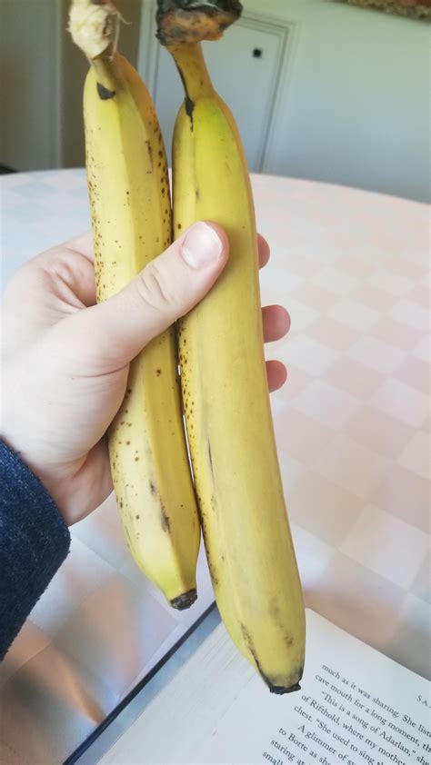 A Very Long Banana Slightly Less Long Banana For Scale R