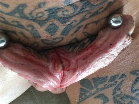 More That One Cock Mjlcx Split Cock