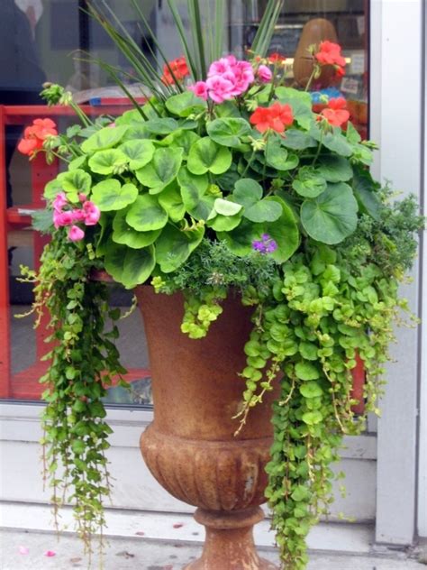 10 Spectacular Container Gardening Ideas