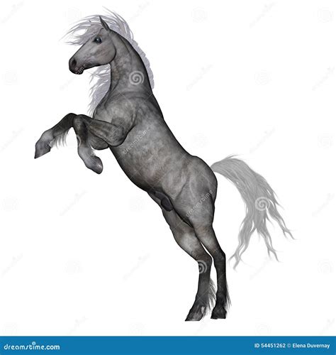 Horse Rearing Up Sketch Vector Illustration 27412532