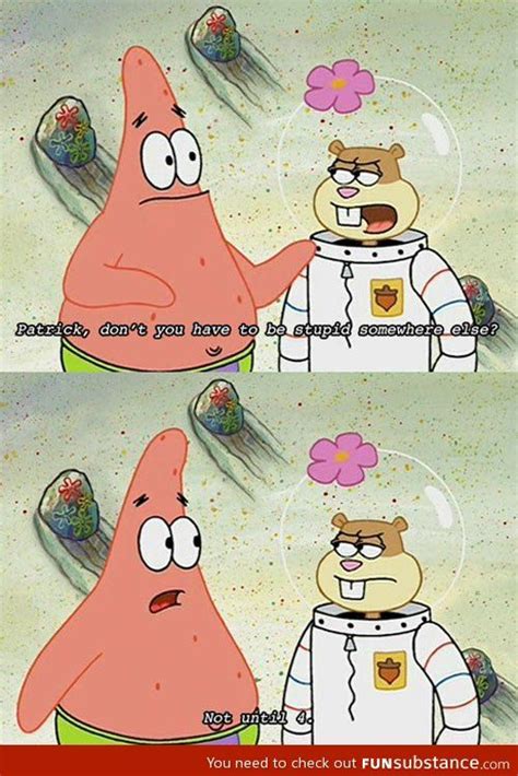 Patrick Being Patrick Funny Spongebob Memes Funny Jokes Hilarious