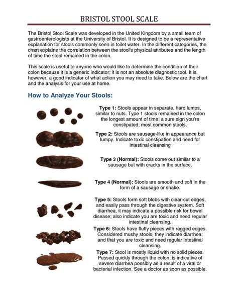 The Bristol Stool Scale What Your Stool Indicates About Your State Of