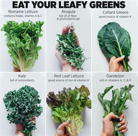 Eat Your Leafy Greens Meowmeix