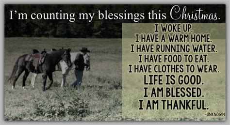 Counting My Blessings The Horse Mafia