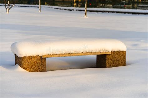 Snow Covered Bench In The Park Park Bench Covered With Snow From The
