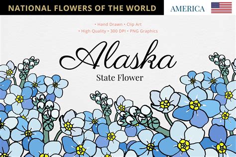 Alaska State Flower Afbeelding Door Hanatist Studio · Creative Fabrica