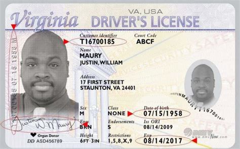Virginia Drivers License Number Dd Listaa