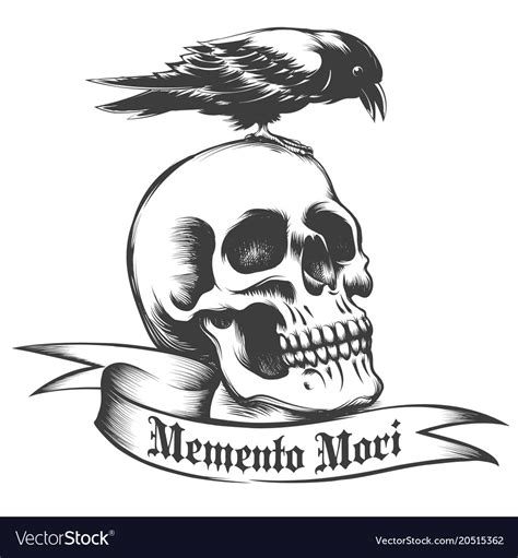 Skull And Crow Royalty Free Vector Image Vectorstock