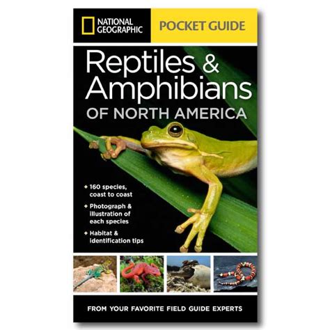 Best North American Wildlife Field Guides Books For Wildlife