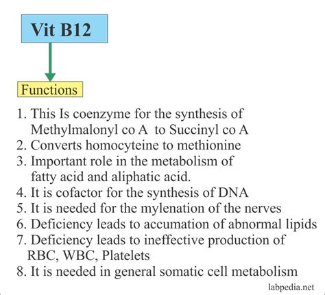 Humans cannot synthesize vitamin c internally and must obtain it through the diet. Vitamin B12 (Cyanocobalmin) - Labpedia.net