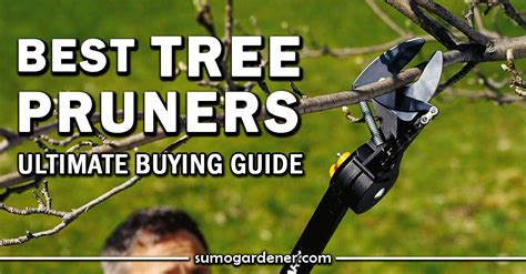 5 Best Tree Pruners For 2024 Reviews And Buying Guide