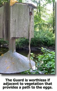 They may be used by those companies to build a profile of your interests and. Maryland Wood Duck Initiative Predator Guards