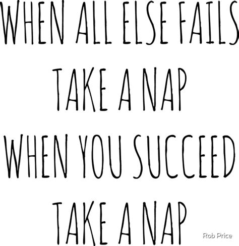When All Else Fails Take A Nap When You Succeed Take A Nap Stickers By Rob Price Redbubble