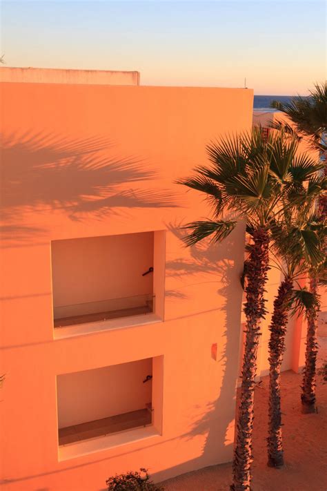 Scopri ricette, idee per la casa, consigli di stile e altre idee da provare. caleighboyd | Orange aesthetic, Aesthetic wallpapers ...