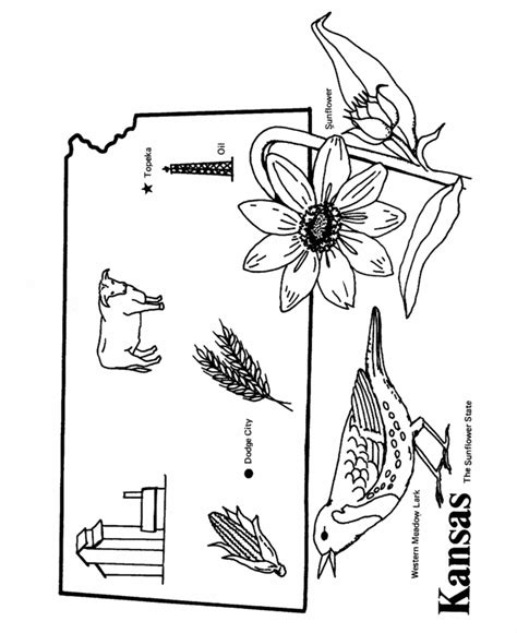 Check out our kansas outline map selection for the very best in unique or custom, handmade pieces from our shops. Kansas State outline Coloring Page | Kansas day, Coloring ...