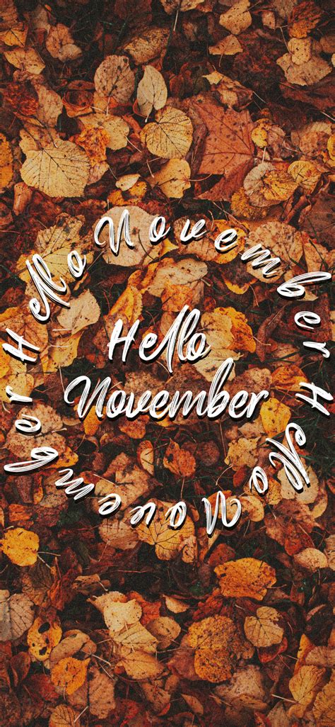 Download Hello November On Autumn Leaves Wallpaper