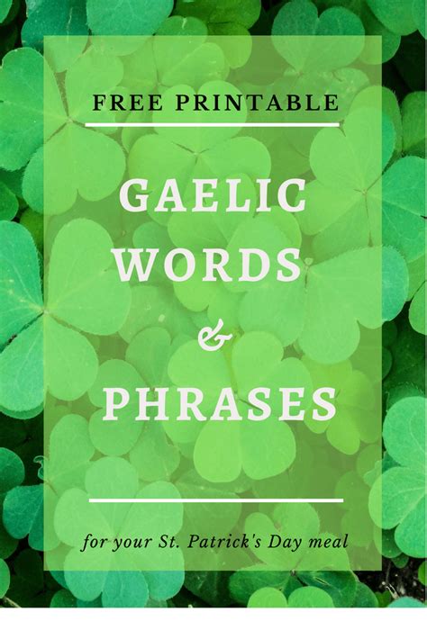 20 Gaelic Words And Phrases For Your St Patricks Day Meal Moonshine