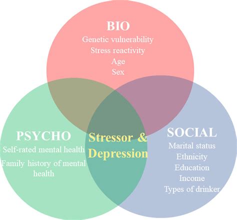 Biopsychosocial Model Of Stress And Depression Download Scientific Diagram
