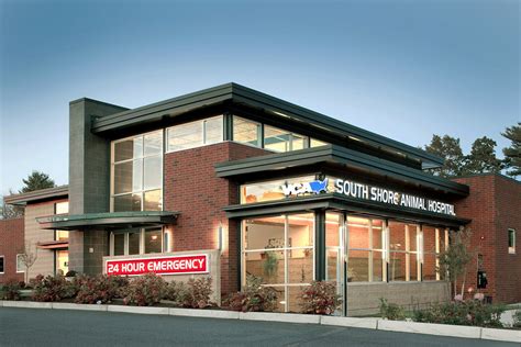VCA South Shore Animal Hospital – Animal Arts