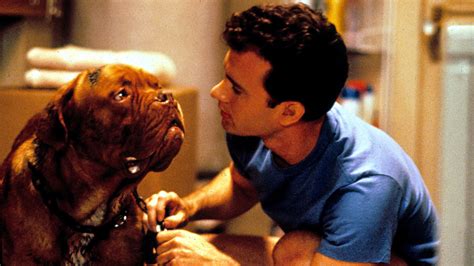 Turner And Hooch Un Film De 1989 Vodkaster