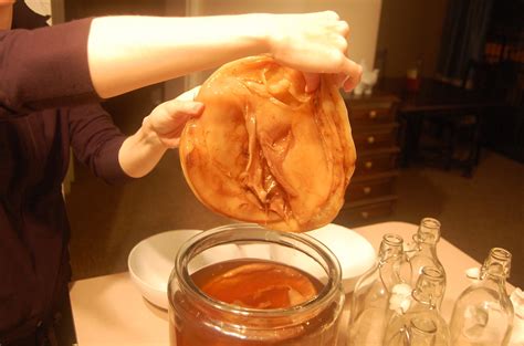 Of shredded part skim mozzarella. Nourish to Flourish: Kombucha FAQ