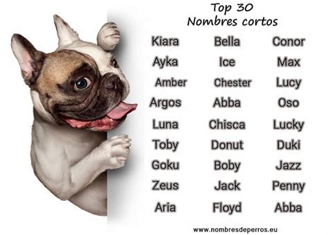 Nombres De Perros