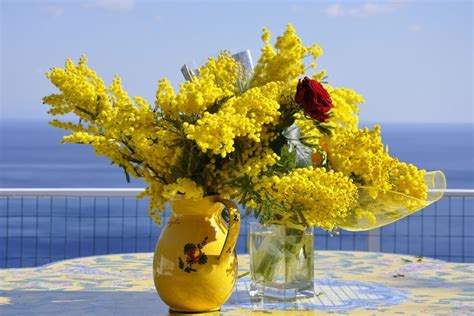 In occasione della festa internazionale della donna abbiamo raccolto una serie di frasi che possano essere di ispirazione per tutte, tratte dal libro 'lo ha detto lei' Auguri Festa della Donna dediche, frasi, messaggi per ...
