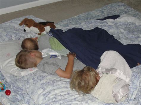 Sleeping Cousins Miles Lukas And Juju All Napping Togeth… Danada Flickr
