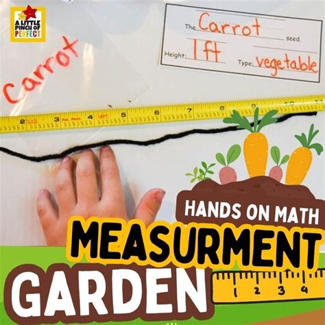 Measurement Garden Spring Math Activity For Kids