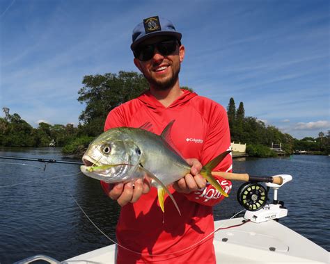 How To Catch Jack Crevalle Tips From A Florida Guide Siesta Key