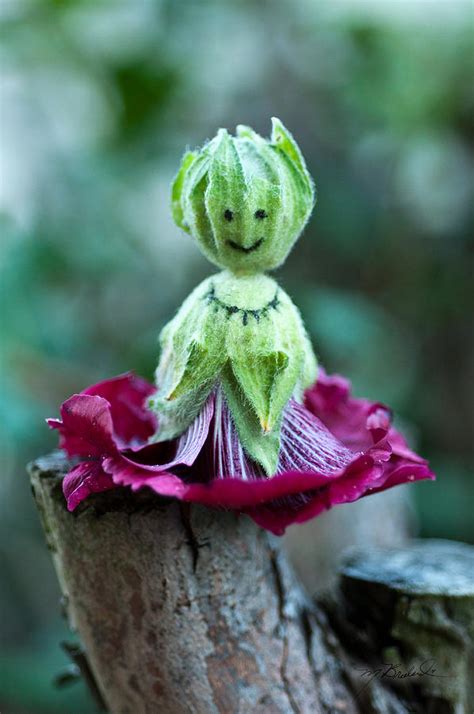 This little course will show you how to pass down this summertime fun to today's children. Hollyhock Doll Photograph by Melissa Wyatt
