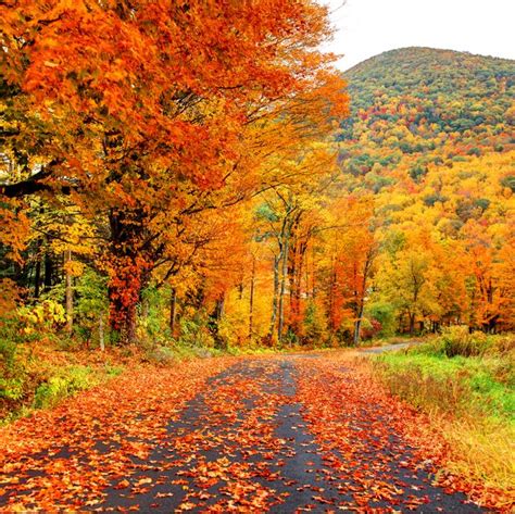 What To Expect For Fall Foliage In New Hampshire Moultonborough