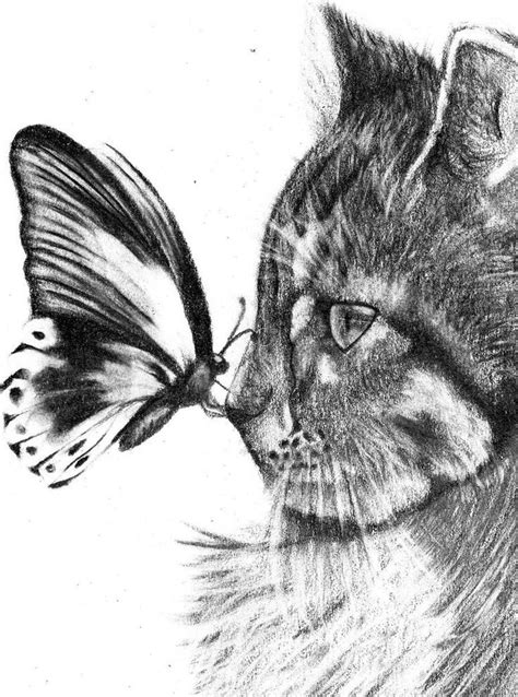 Dibujos hechos a lapiz, Animales dibujados a lapiz, Mariposas dibujos a