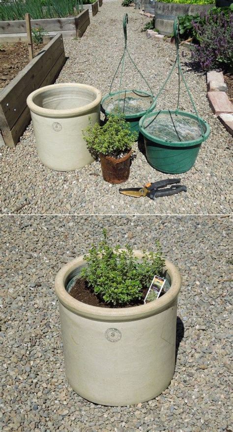 In partnership with the u.s. Ceramic Crock Garden Container Tutorial | Plastic plants ...