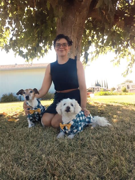 When did you decide to let go? My jack russell Otis 12, got IvDd