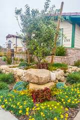 Pictures of Landscaping Rocks Fresno