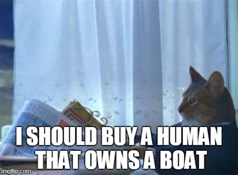 I Should Buy A Boat Cat Meme Imgflip