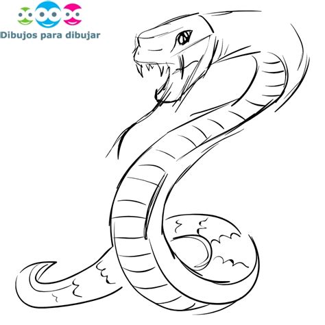 Dibujos Dificiles Para Calcar / 26 Ideas De Dibujos Dibujos Dibujos A