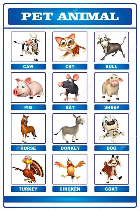 Group Of Pet Animal Chart Stock Illustration By ©visible3dscience