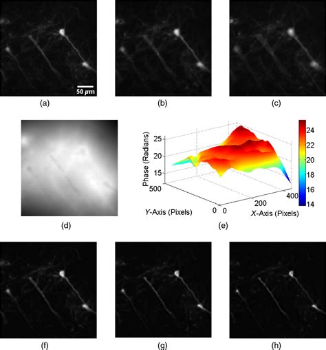 Three-dimensional fluorescence imaging using the transport of intensity equation